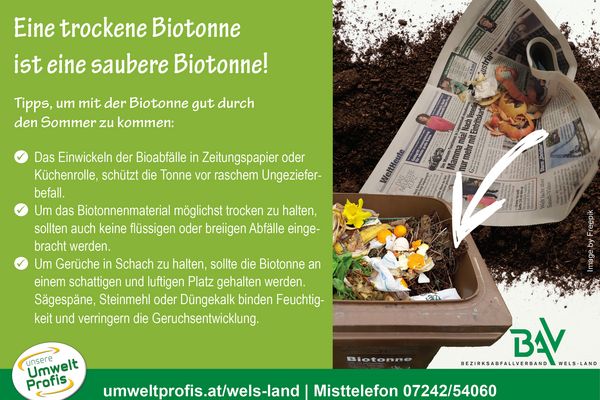 Tipps für eine trockene Biotonnsammlung!