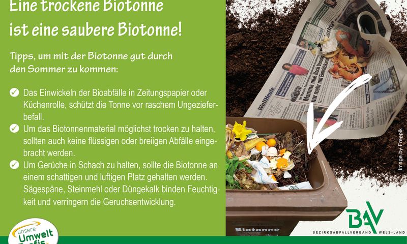 Tipps für eine trockene Biotonnsammlung!