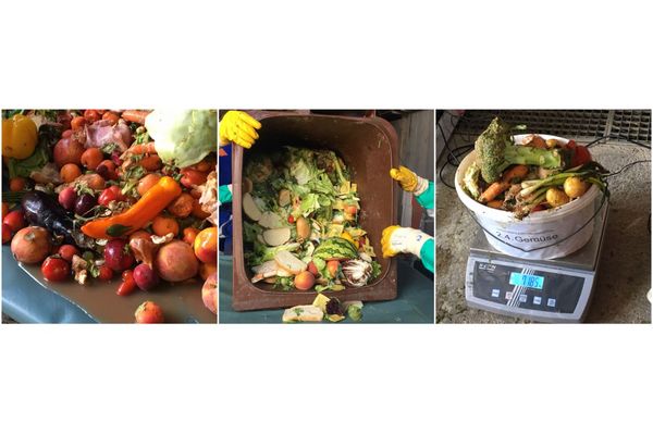 Drei Bilder die Obst- und Gemüseabfälle zeigen