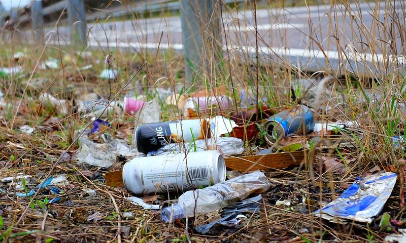 Müll liegt am Straßenrand